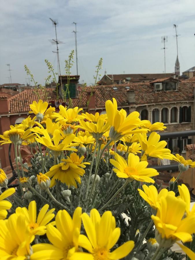 Ca' Degli Oresi Venedig Exteriör bild